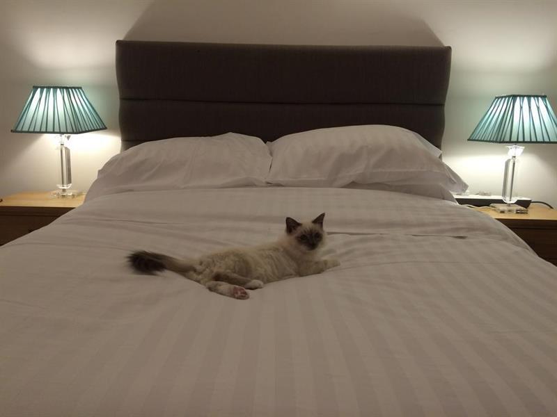 Oyo Oakcroft Guest House Manchester Airport Ringway Dış mekan fotoğraf